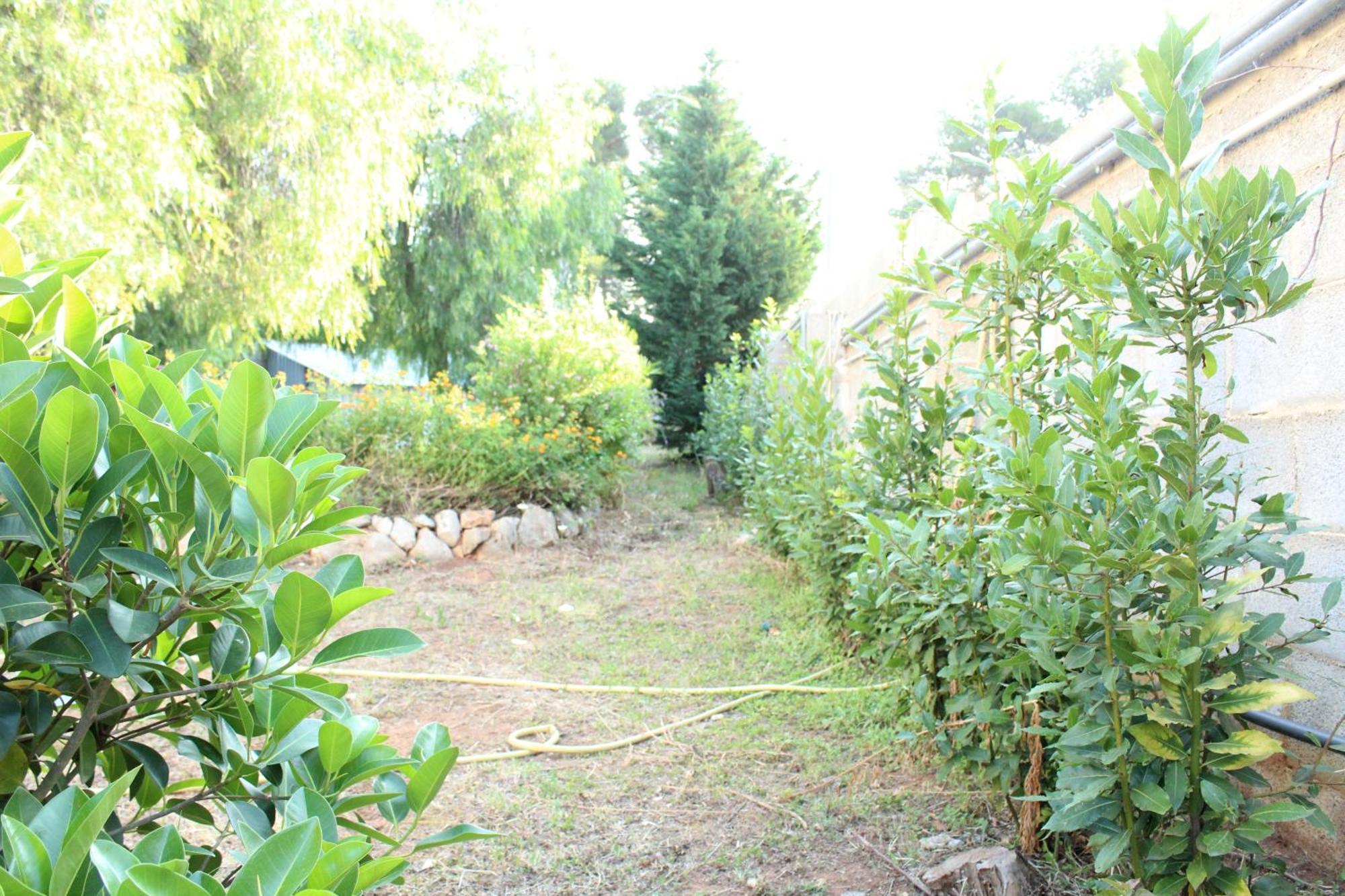 Boat Dreams , Garden Relax Apartment มาติโน ภายนอก รูปภาพ